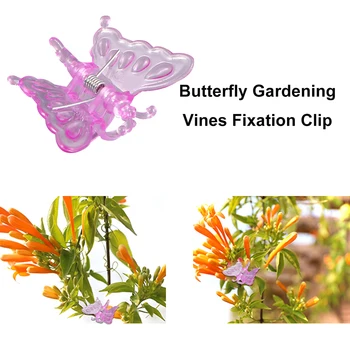 

30PCS Butterfly Orchid Grafting Clips Garden Flower Vine Fixed Clamps Gardening Bonsai Clips Plant Support Clips