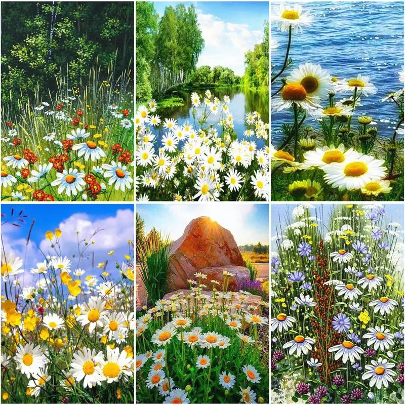 Wildflowers PAINT by NUMBER Kit Adultsspring Flower Garden DIY