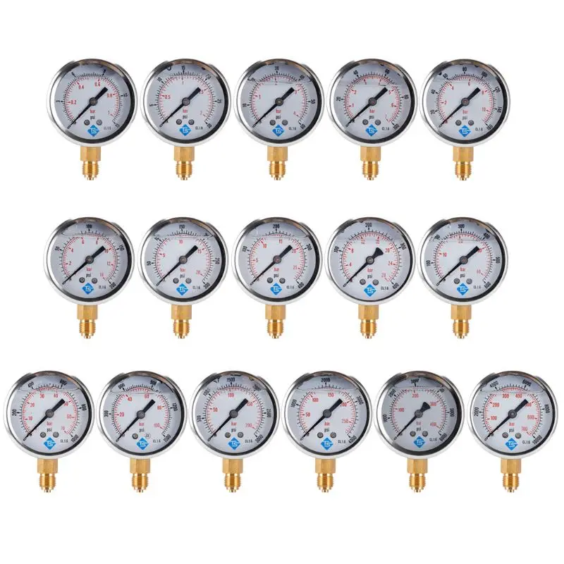 Y60 Axial Oil-Filled Pressure Gauge - Stainless Steel, 1/4" BSP Thread, Range -1 To 2 Bar / -30 To 30 Psi