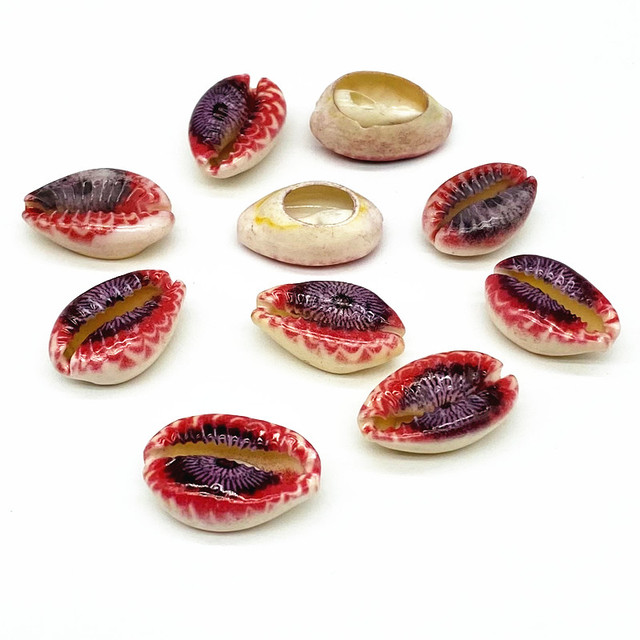 Multicolor Natural Shell Loose Spacer Beads 10-20mm Oval Beaded For Jewelry Charm Necklace Bracelet Accessory #ZZ04
