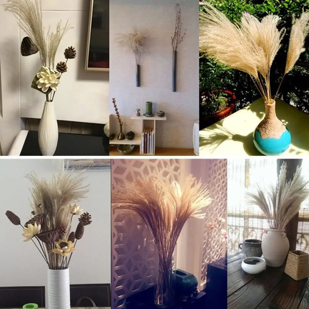 

Natural Dried Flowers Bouquet Wedding Home Easter Decorations Flowers flowers Dried Flower Ornamental Phragmites Real reed S0M1