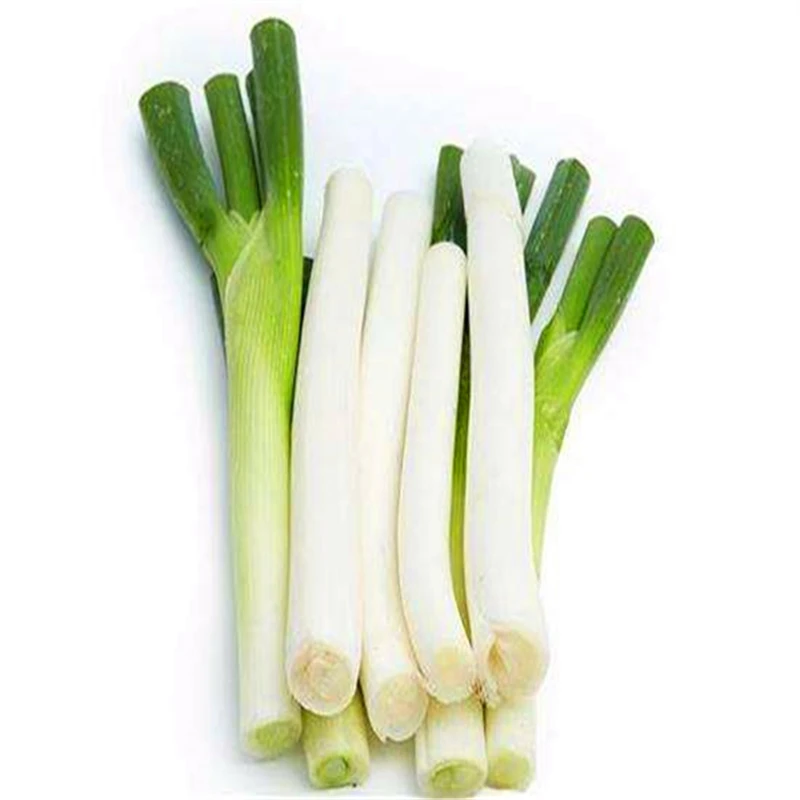 100 шт./лот Chive(Allium ascalonicum) открытый горшечные цветущие растения для дома и сада - Цвет: 4