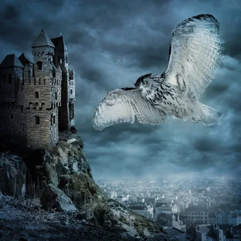 

Laeacco Photo Background Photography Vintage Deserted Castle Owl Dark Night Happy Halloween Party Photo Backdrop Photo Studio