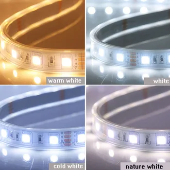 

5m Led Light Strip Non Waterproof 10w/m 2835 Ribbon Led Strip 12v Power Supply Kitchen/bedroom/showroom/cell Phone Counter Lamp