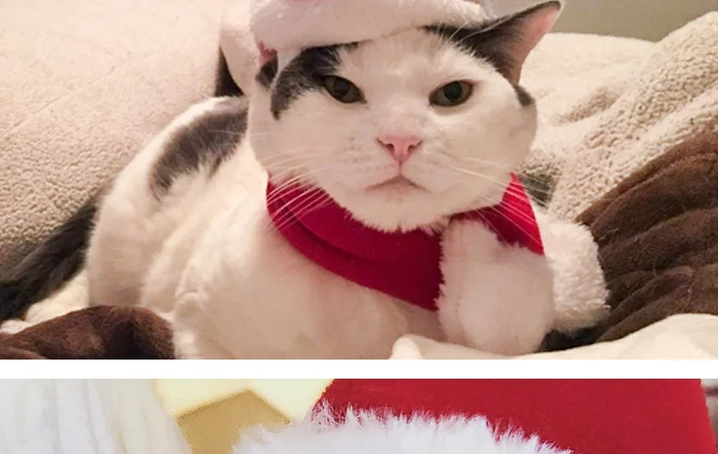 Товары для домашних животных рождественские шапки для домашних животных Рождественский подарок набор шарфов для кошек и собак маленькие домашние животные