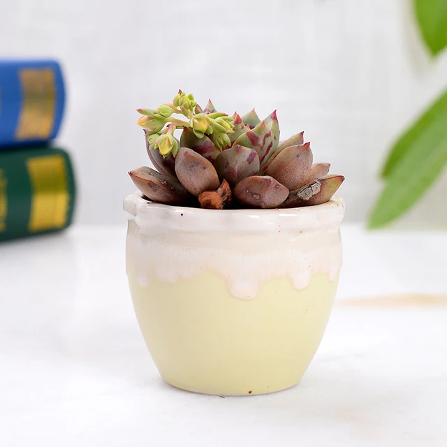 Strongwell Otthoni Dekoráció Miniatűr Modell Virág Edények Áramlási Mázas Aszimmetria Váza Íróasztal Díszek Figurák Kerámia Edény - Image 2