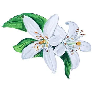 

13cm x 9.5cm Orange Blossom Sticker Decal Camp Nature Wildlife Outdoors State Flower Florida Car Stickers Graphics