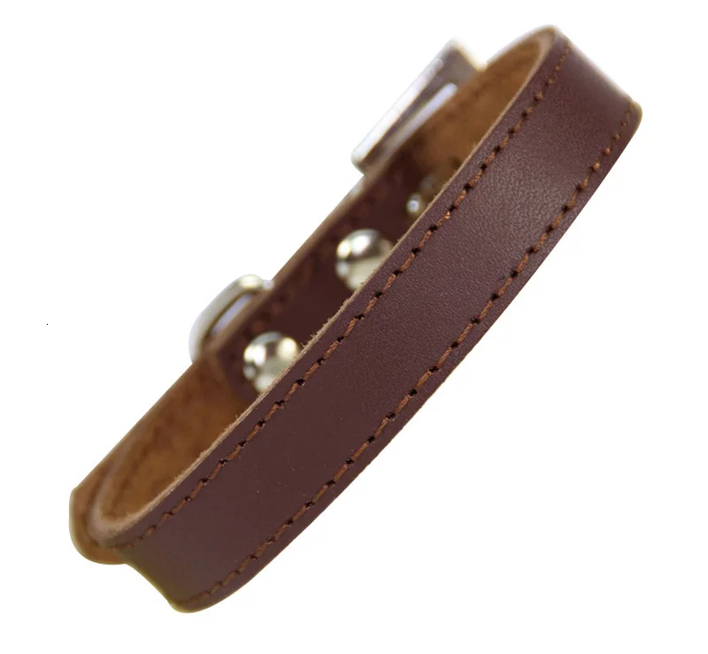 dog collar for small dogs