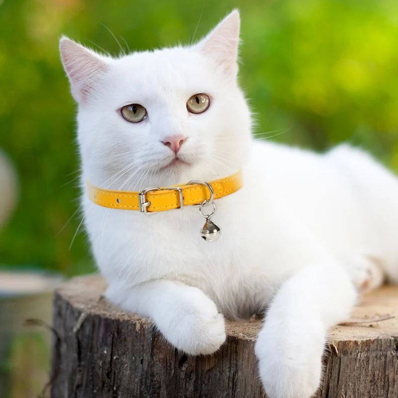3 шт./компл. кошачий ошейник с колокол ошейник для кошки котенок щенок ошейники для кошки собаки чихуахуа кошка ошейники для собак ведущий домашних