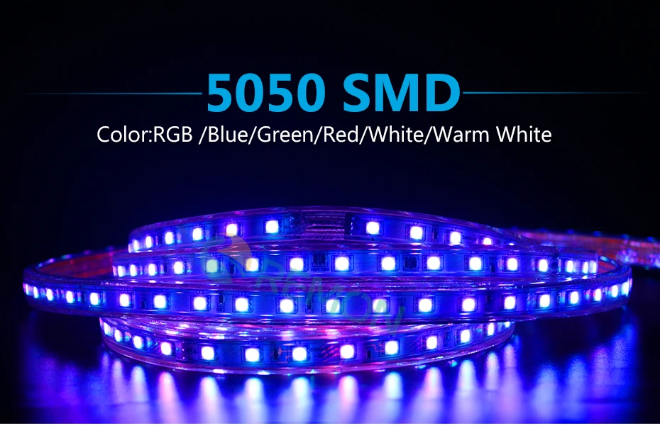 5050SMD_01