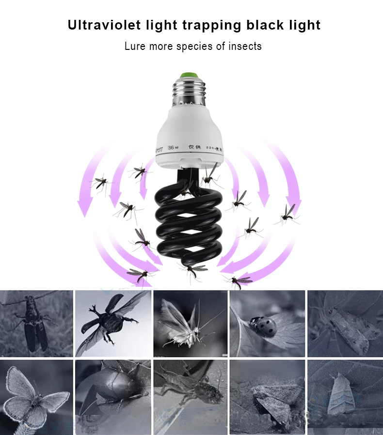 H68b796cbba2e4965912da52625b6459d0