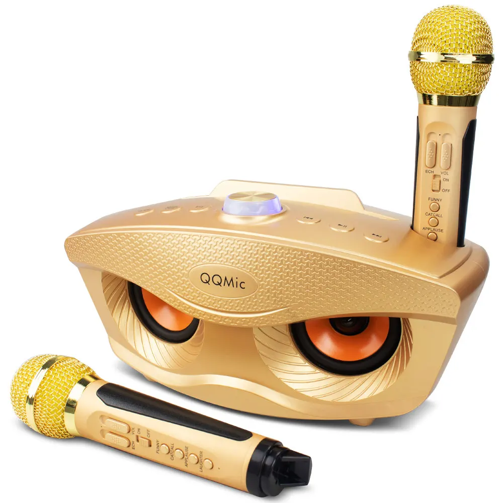 20W Karaoke Machine Portable PA Speaker System For Kids Adults With Lights Microphone Bluetooth V5.