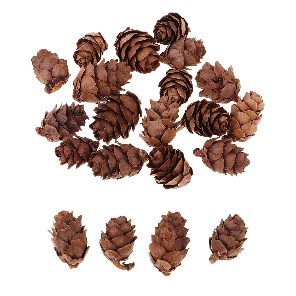 50pcs Small Real Natural Pine Cones For Wedding Xmas Party Hanging Decoration Home Room Cafe Ornament Photo Prop