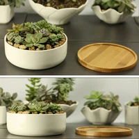 Pot de plante succulente en céramique, pot de fleur arrondi profond en porcelaine blanche avec escalier en bambou, table de bureau, bonsaï Zakka 2