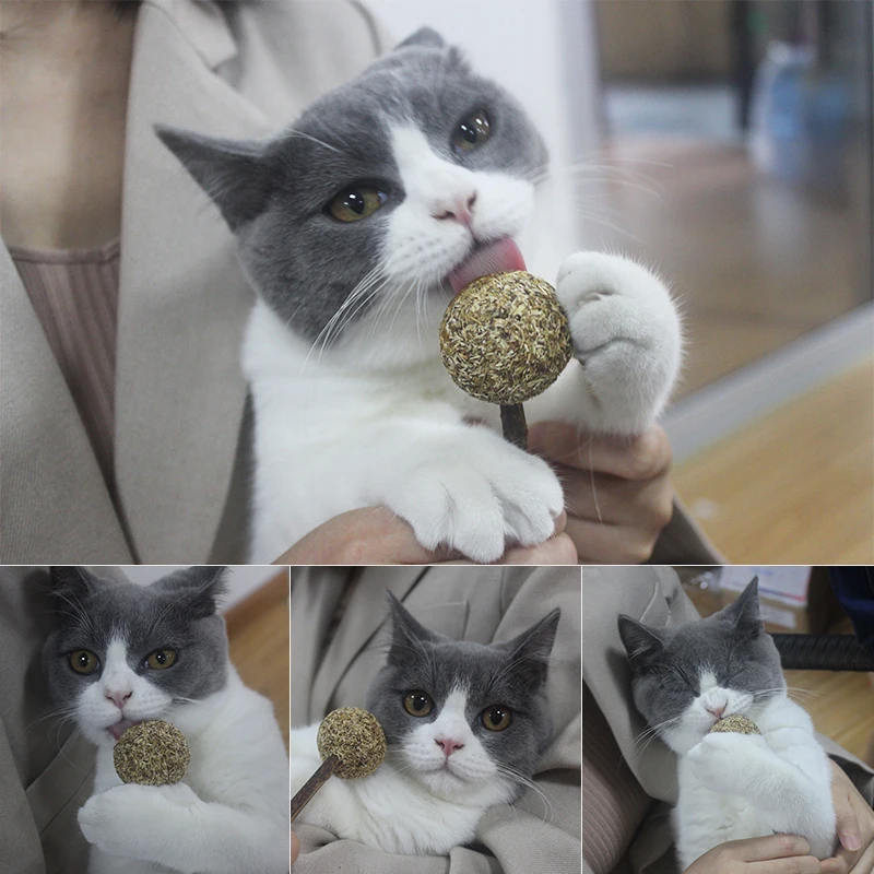 Игрушка для кошек, мячик для кошачьей мячи, органический натуральный ...