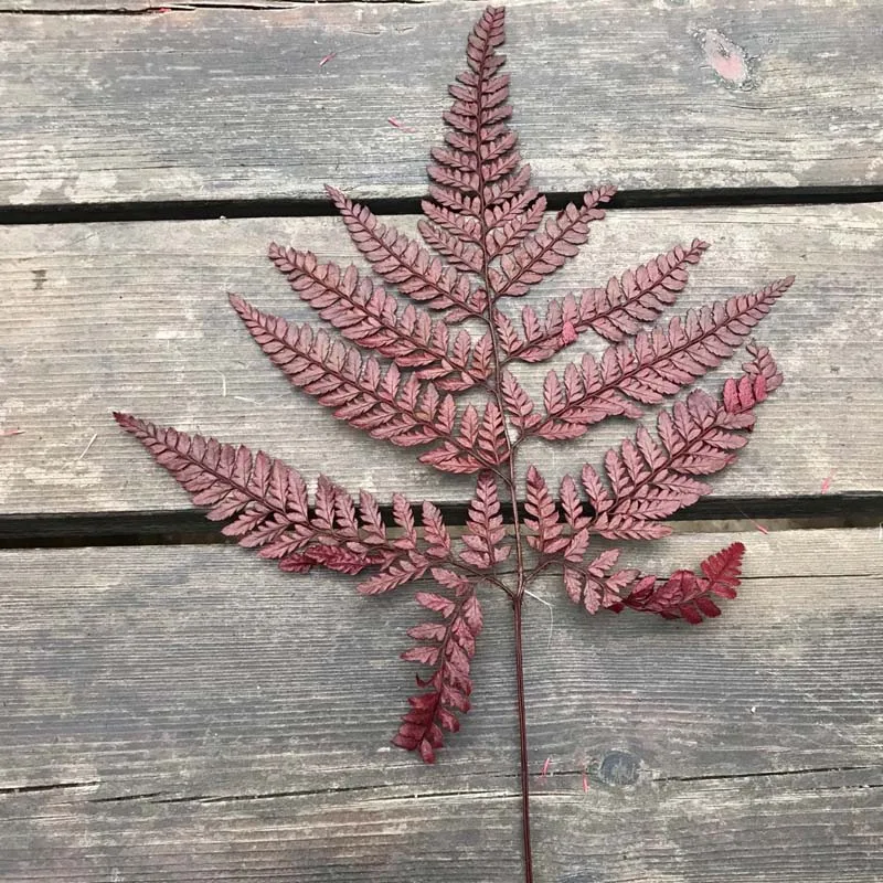 QQ图片20200210203307