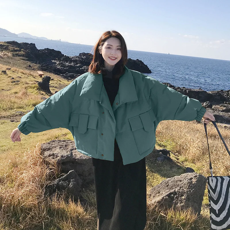 

Photo Shoot off Season down Coat Winter New Style Korean-style Retro Big Pocket Short Thick Cotton Coat Women Coat Fashion