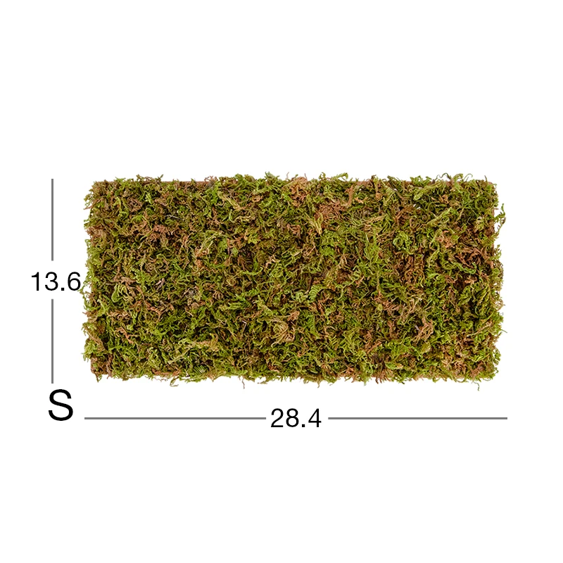 Moss mat-350853