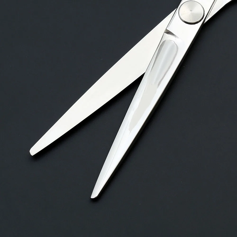 8542096753_613089931