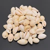 50pcs White DIY Sea Shell Cowrie Cowry Charm Beads Beach Jewelry Accessories for Women Sea Shells Earrings Bracelet Necklace diy ► Photo 2/6