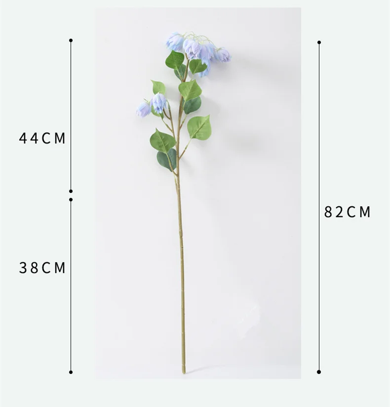 12205844782_1554594402