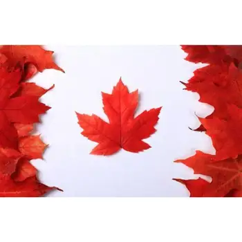 

Diamond Mosaic Round Drill 5D Embroidery Canadian Flag Embroidery Art Home Decor Art Kit Gifts