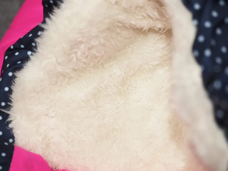 HTB1SoSlOpXXXXXlXXXXq6xXFXXXy