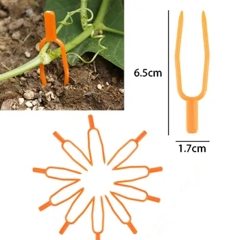 

50 Pcs Plant Clips Stolons Fastening Fixture Clamp Farming Clip Plant Support Strawberry Forks Garden Tool