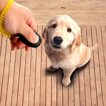 

New Dog Pet Click Clicker Training Obedience Agility Trainer Aid Wrist Strap