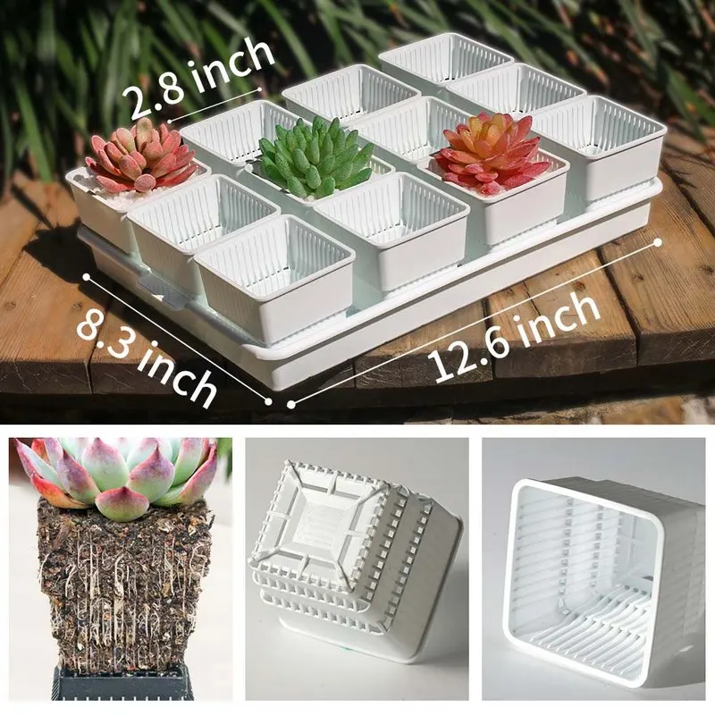 

White Succulent Pot Plastic Cactus Square Container 12 Pots and 1 Tray Planter Root Control Pot Good Air Breathable Planter