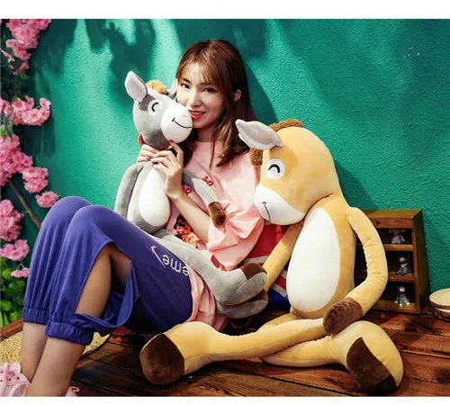 9393267764_1251319505