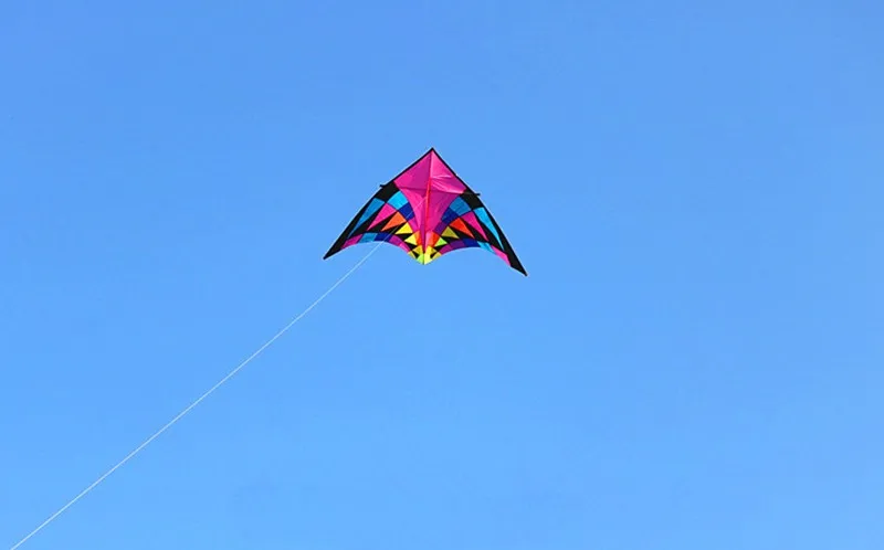 Free shipping large delta kite for adults flying toys ripstop nylon sport kite string reel dragon kite cerf volant parachute 4