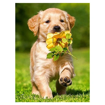 

5D DIY diamond embroidery dog with flower diamond painting Cross Stitch full round Rhinestone home decoration