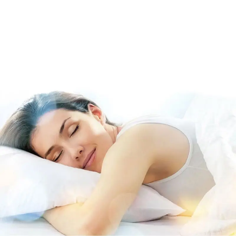 

2* White Hotel Pillow Cover Case Waterproof Zipper Protector Bed