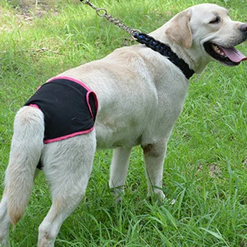 

New Pets Supplies Comfortable Magic Tape Brief Dogs Teddy Golden Retriever Walking Anti-harassment Pants