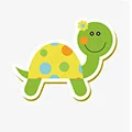 Beautiful tortoise Store