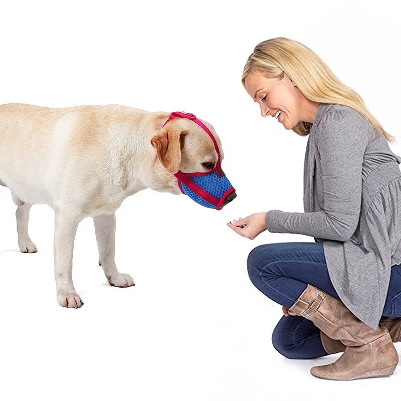 

Small Large Dog Muzzles Anti Bite Mesh Breathable Dogs Muzzle Pet Mouth Cover Training Products Anti Chew Bark Pet Product