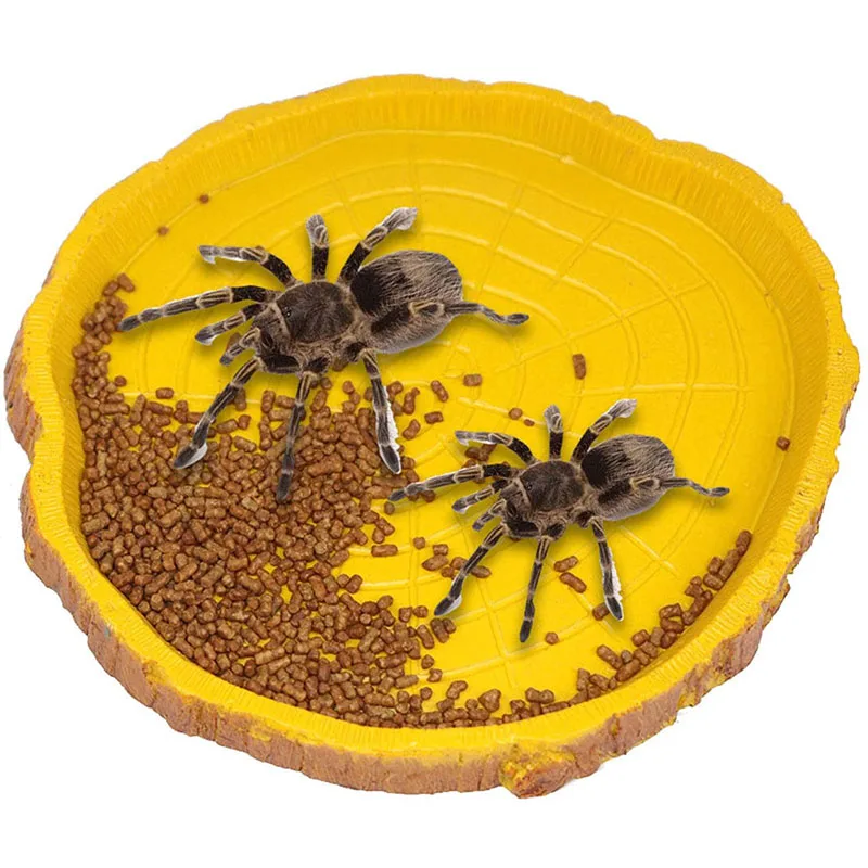 Reptile Food Bowl Shallow Reptile Dish Pets Feeding Plate Resin Bowl