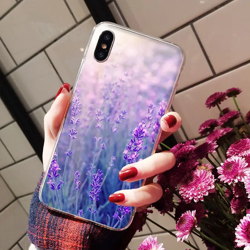 Simple lavender Purple flowers