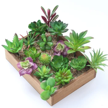 

12pcs Artificial Green Purple Red Flocking Succulent Plants DIY Home Garden Office Wedding Decoration Mini Bonsai Plante