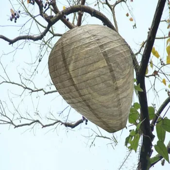 

10pcs Wasp Nest Decoy Eco Friendly Hornet Yellow Jacket Repellent Non-Toxic 11x8.7 Inch Hanging Wasp Deterrent