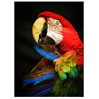 

diy Diamond Painting Abstract Colorful Parrots Feather Diamond Embroidery Full square round drilling 5d Diamond Mosaic N494