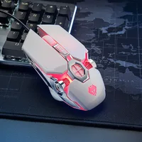 Computer Peripherals