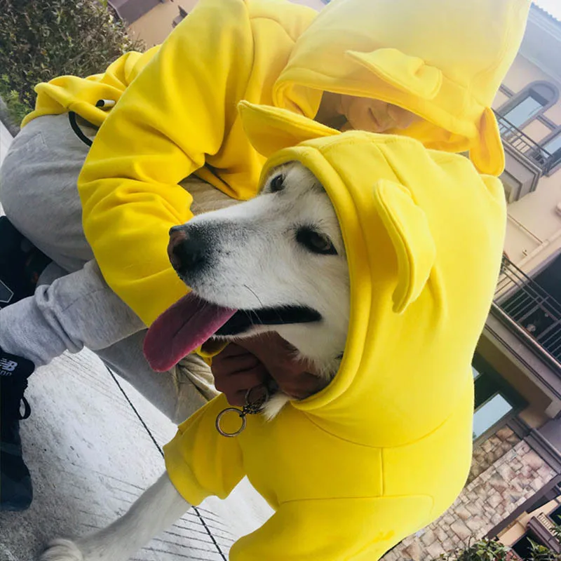 Bear Dog Hoodie - Image 6