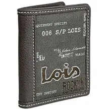 Lois Douglas Молодежный кошелек мальчик вертикально вышитый холст и печать. Бумажник кошелек 201920