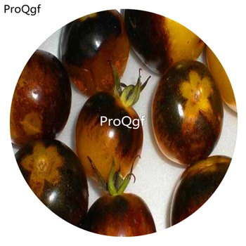 

Ngryise 6000Pcs A Set BUMBLE BEE HEIRLOOM TOMATO