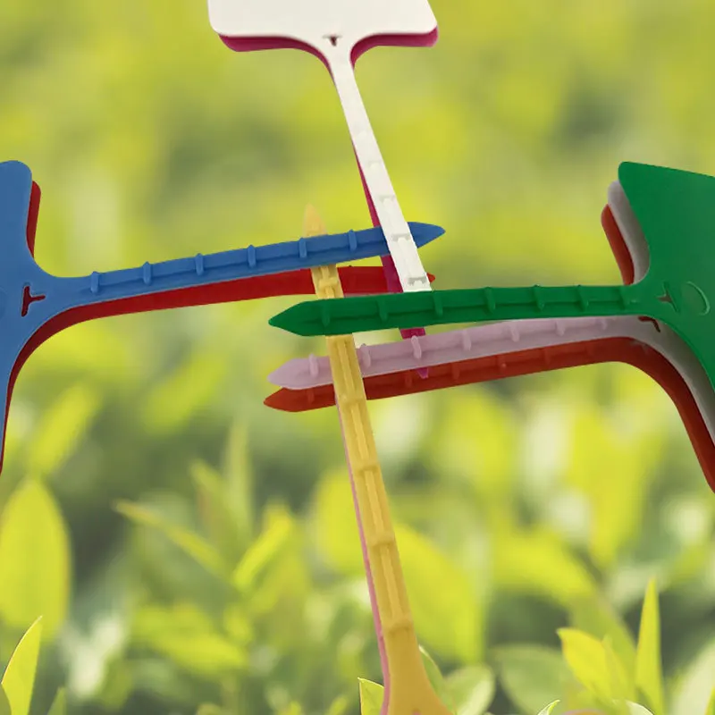 10938517062_456212297