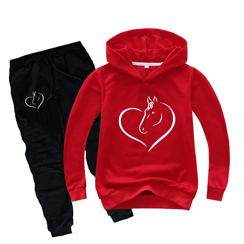 Z& Y/От 2 до 16 лет, Осенние комплекты одежды для маленьких девочек толстовки с длинными рукавами и штаны для мальчиков комплект из 2 предметов, костюм лошади детская одежда детские спортивные костюмы - Цвет: COLOR 7