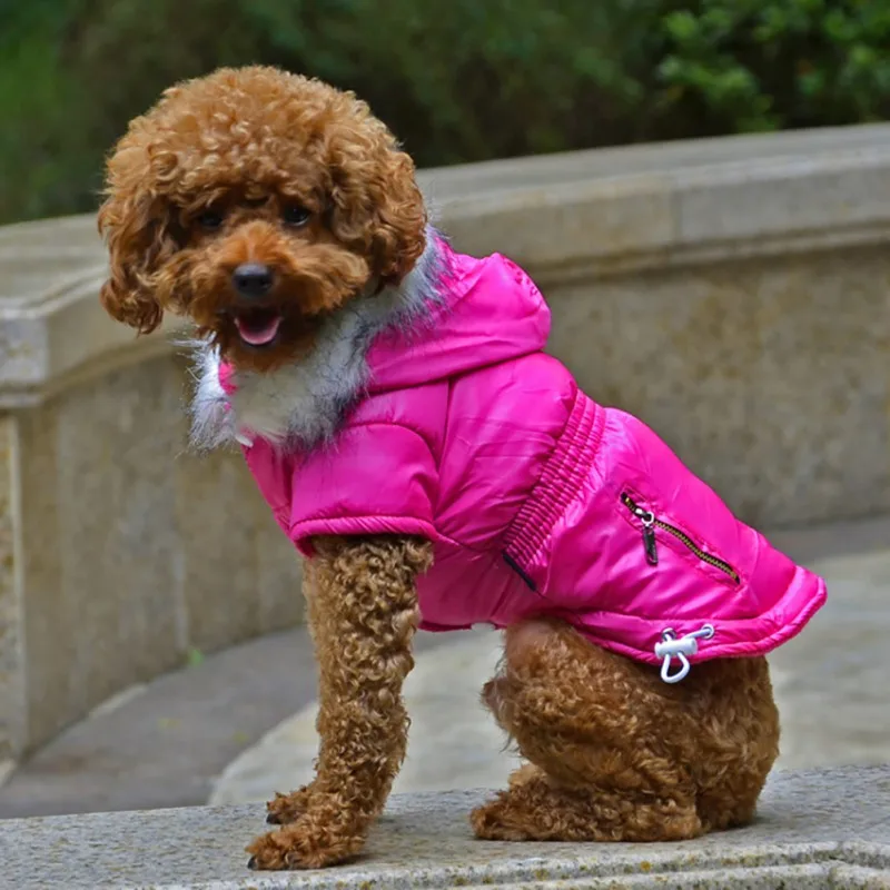 Зимнее пальто для домашних животных Одежда для собак зимняя одежда теплая одежда для собак для маленьких собак рождественское большое зимнее пальто для собак Одежда для чихуахуа