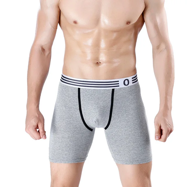 2-Pack-Men-Cotton-Underpants-Sprots-Long-Leg-Mid-Waist-Innerwear-Mens-Briefs-Coton-Boxershorts-Panties.jpg_.webp_640x640 (2)